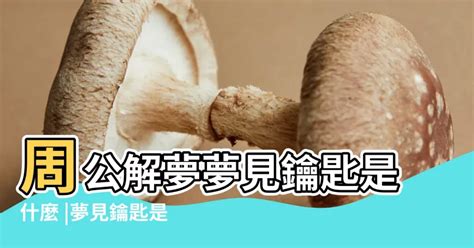 夢見開門|夢見開門是什麼意思有什麼預兆